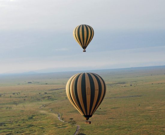 5-DAY-SERENGETI-BALLOON-SAFARI-2