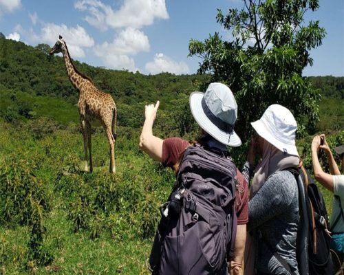 ARUSHA-NP