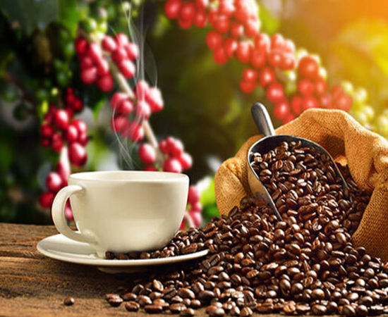 Coffee-Tour