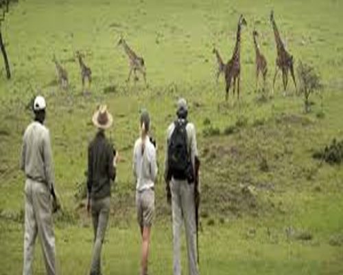 Walking Safaris in Tanzania